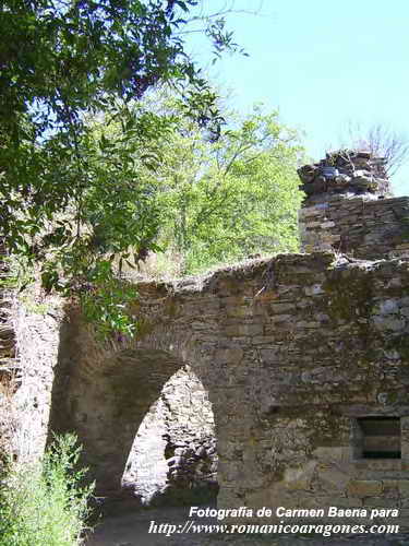 RUINAS DEL MONASTERIO DE SAN PEDRO DE MONTES
